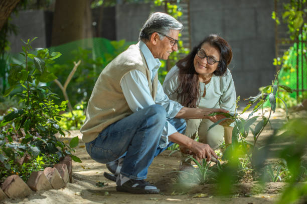 gesund ist dein tägliches